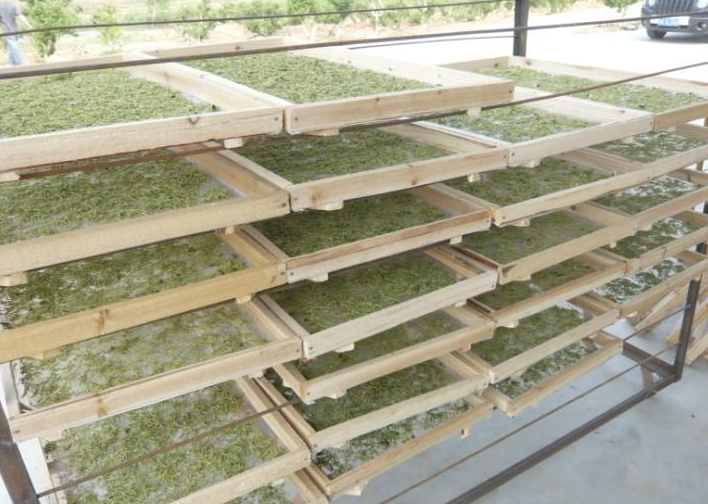 小型金銀花烘干機(jī)多少錢一臺？小型號「價錢低」烘干更靈活