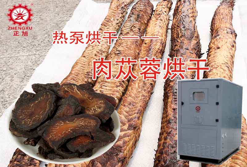 正旭肉蓯蓉熱泵烘干工藝（烘干溫度、時間）