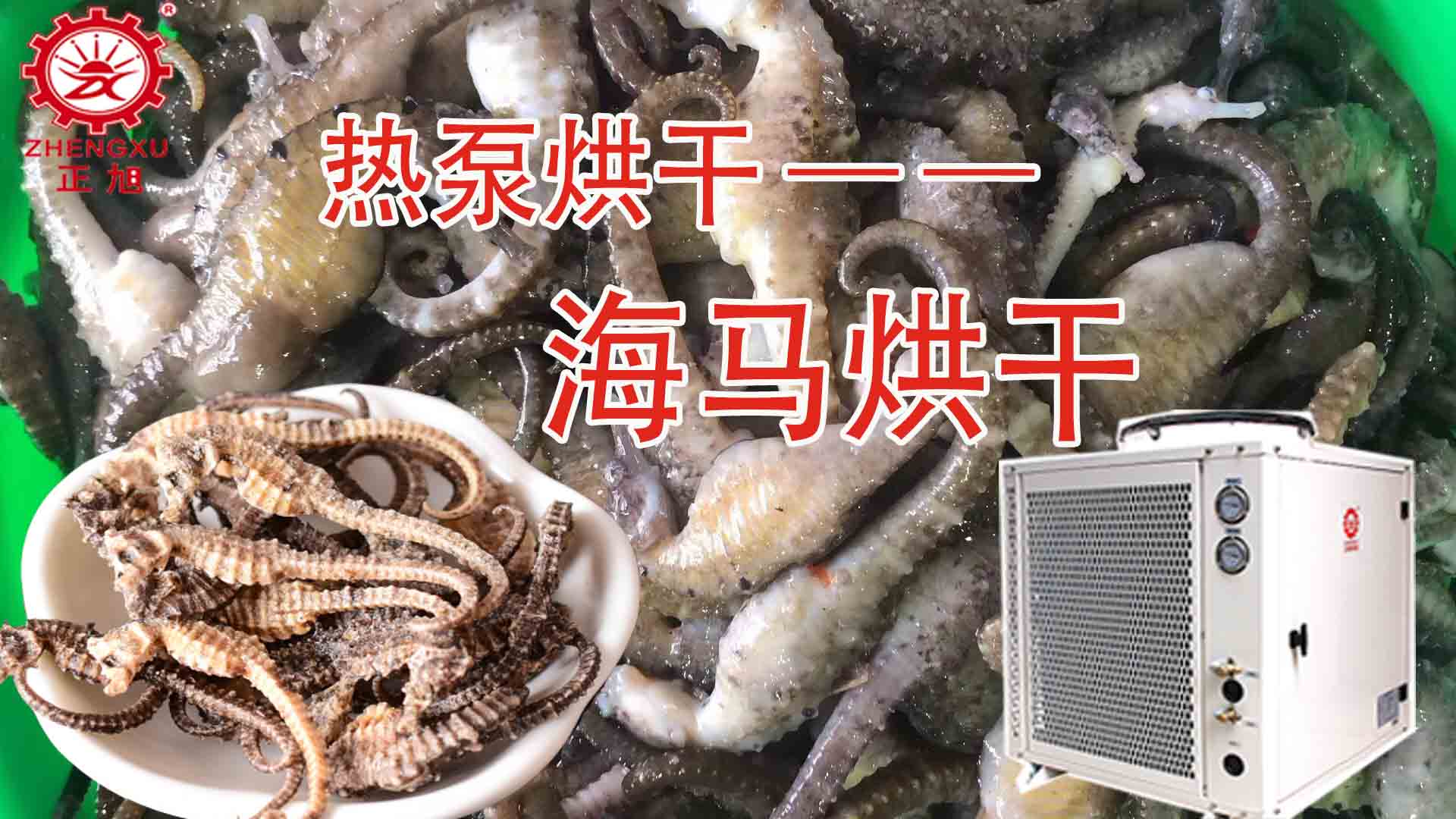 海馬熱泵烘干方法詳解（含研粉、清洗、宰殺、烘干時(shí)間）