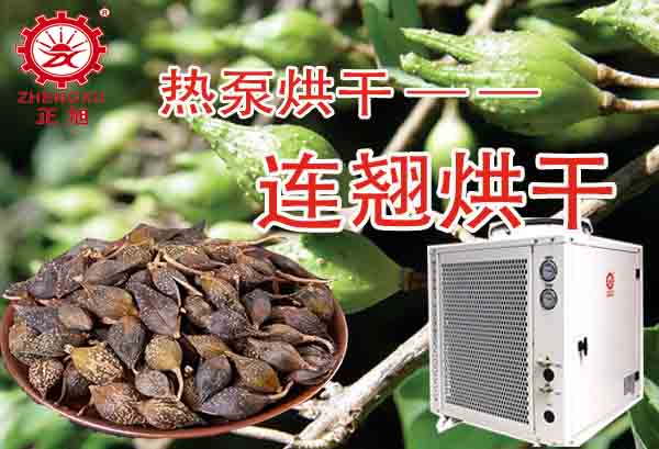一噸連翹熱泵烘干需要多少錢？「熱泵烘干廠家」為你解答